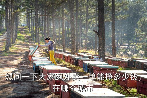想問(wèn)一下大家跑外賣一單能掙多少錢，在哪個(gè)城市