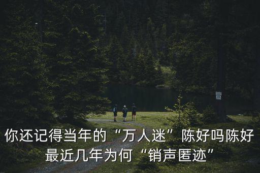陳好在周口哪里,演員陳好現在去哪里了