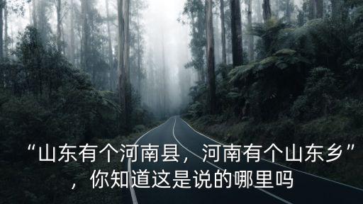 河南哪里的景區有荷花,河南最值得游玩的景點是哪里