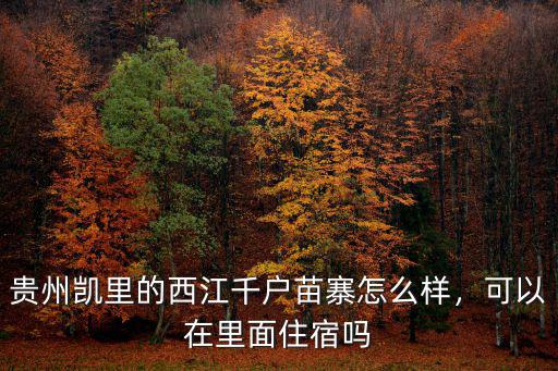 貴州凱里的西江千戶苗寨怎么樣，可以在里面住宿嗎