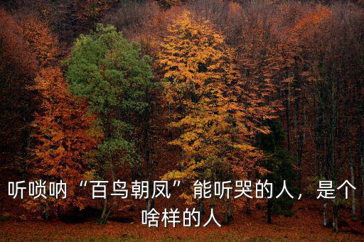 河南四姐妹嗩吶哪里人,河南的嗩吶班有哪些行話