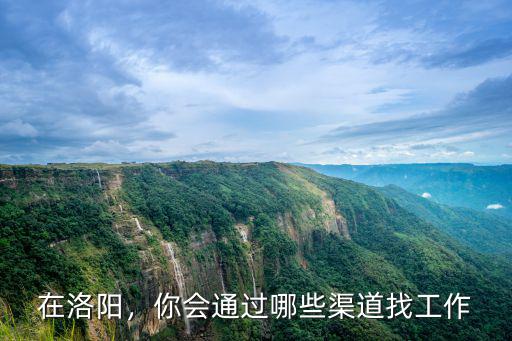 在洛陽，你會通過哪些渠道找工作