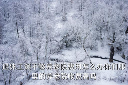 退休工資不夠養老院費用怎么辦你們那里的養老院收費高嗎