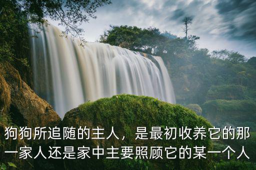 狗狗所追隨的主人，是最初收養它的那一家人還是家中主要照顧它的某一個人
