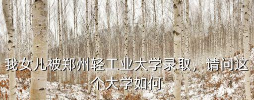 我女兒被鄭州輕工業(yè)大學(xué)錄取，請(qǐng)問這個(gè)大學(xué)如何