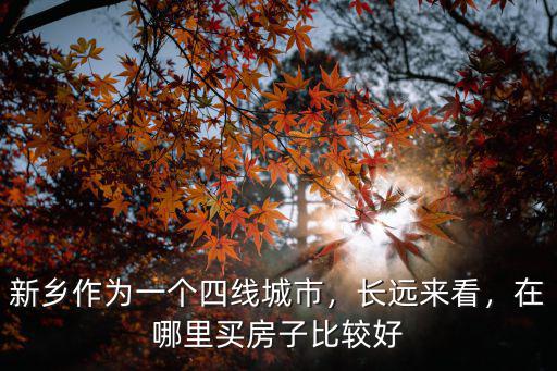 新鄉作為一個四線城市，長遠來看，在哪里買房子比較好