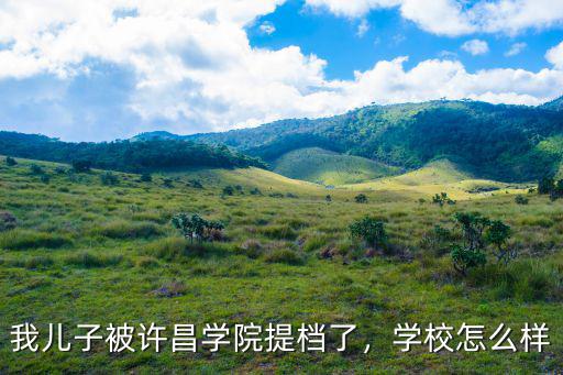 我兒子被許昌學院提檔了，學校怎么樣