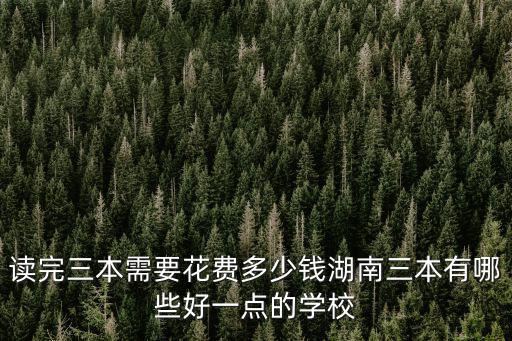 讀完三本需要花費多少錢湖南三本有哪些好一點的學校