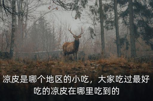 洛陽(yáng)哪里涼皮好吃,洛陽(yáng)有哪些好吃的餅