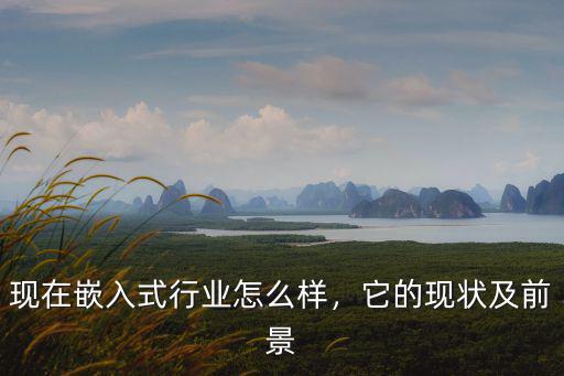 現在嵌入式行業怎么樣，它的現狀及前景