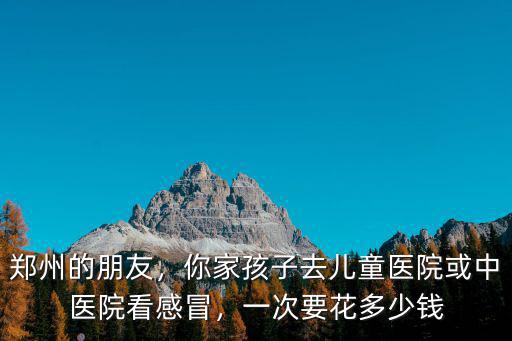 鄭州的朋友，你家孩子去兒童醫(yī)院或中醫(yī)院看感冒，一次要花多少錢