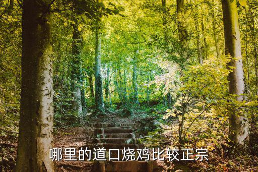 哪里的道口燒雞比較正宗