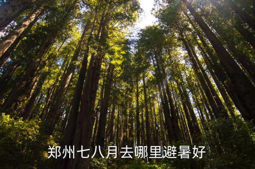 鄭州七八月去哪里避暑好