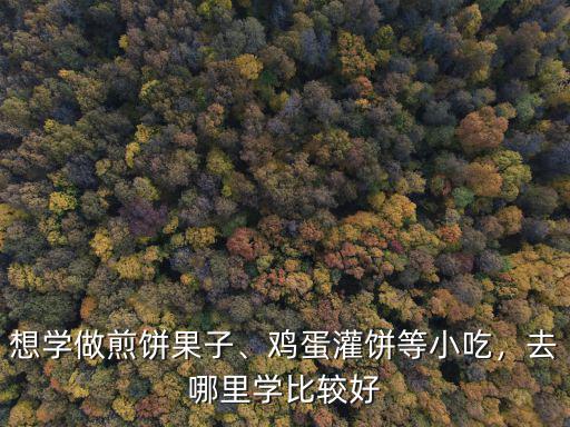 想學(xué)做煎餅果子、雞蛋灌餅等小吃，去哪里學(xué)比較好
