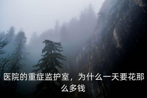 醫(yī)院的重癥監(jiān)護室，為什么一天要花那么多錢