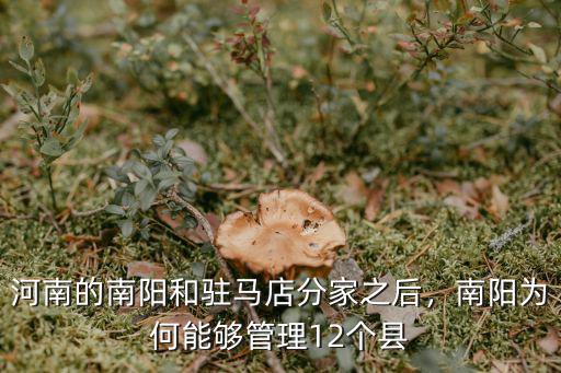 河南的南陽和駐馬店分家之后，南陽為何能夠管理12個縣