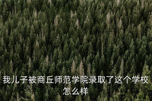 我兒子被商丘師范學院錄取了這個學校怎么樣