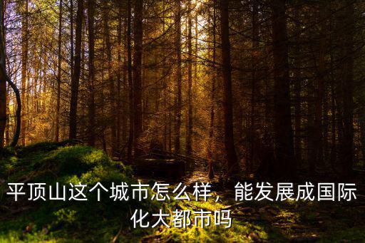 平頂山這個城市怎么樣，能發展成國際化大都市嗎