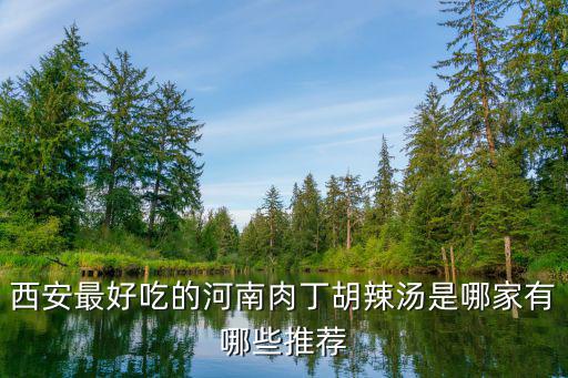 西安哪里有好吃的河南胡辣湯,是河南的肉丁胡辣湯好吃