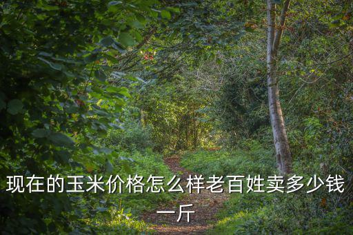 現在的玉米價格怎么樣老百姓賣多少錢一斤
