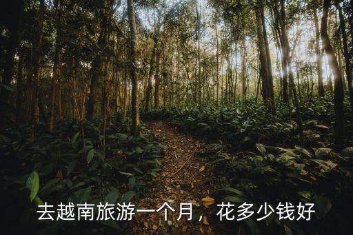 去越南旅游一個月，花多少錢好