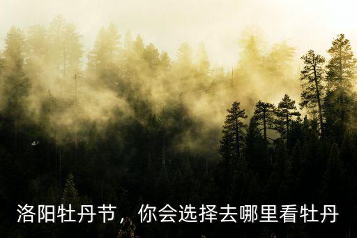 洛陽牡丹節，你會選擇去哪里看牡丹