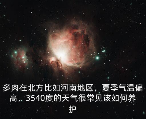 河南地區怎么養多肉,多肉在北方比如河南地區