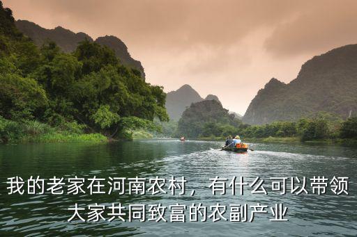 河南農(nóng)村老家在哪里,在老家河南農(nóng)村