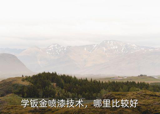 學鈑金噴漆技術，哪里比較好