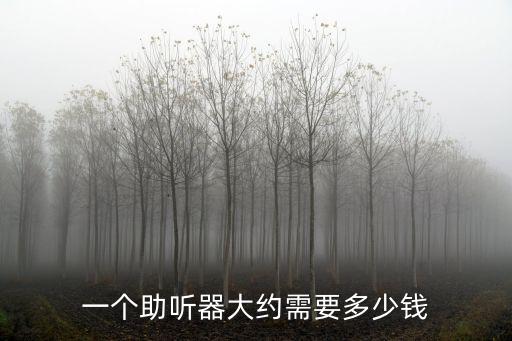 一個助聽器大約需要多少錢