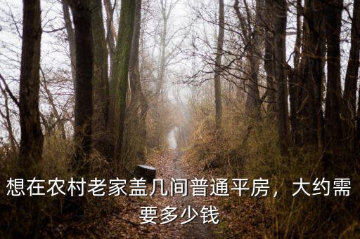 想在農(nóng)村老家蓋幾間普通平房，大約需要多少錢