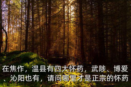 在焦作，溫縣有四大懷藥，武陟、博愛、沁陽也有，請問哪里才是正宗的懷藥