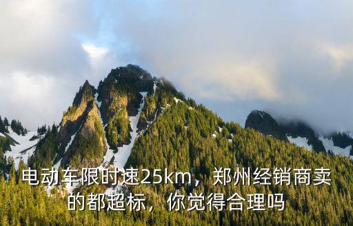 電動車限時速25km，鄭州經銷商賣的都超標，你覺得合理嗎