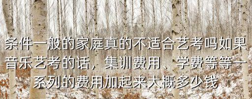 條件一般的家庭真的不適合藝考嗎如果音樂(lè)藝考的話(huà)，集訓(xùn)費(fèi)用、學(xué)費(fèi)等等一系列的費(fèi)用加起來(lái)大概多少錢(qián)