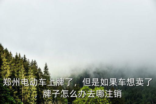 鄭州市電動(dòng)車過(guò)了元旦上牌會(huì)怎么樣,鄭州電動(dòng)車上牌了