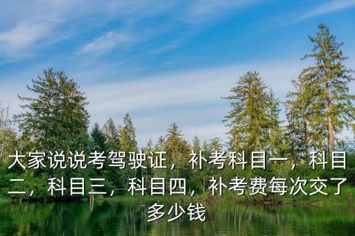 大家說說考駕駛證，補考科目一，科目二，科目三，科目四，補考費每次交了多少錢