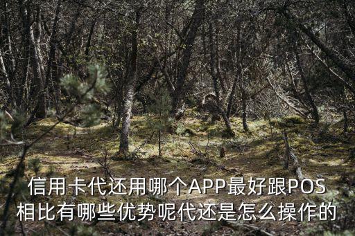 信用卡代還用哪個APP最好跟POS相比有哪些優(yōu)勢呢代還是怎么操作的