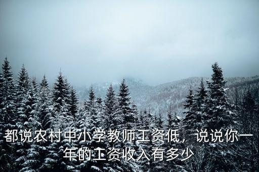 都說農村中小學教師工資低，說說你一年的工資收入有多少