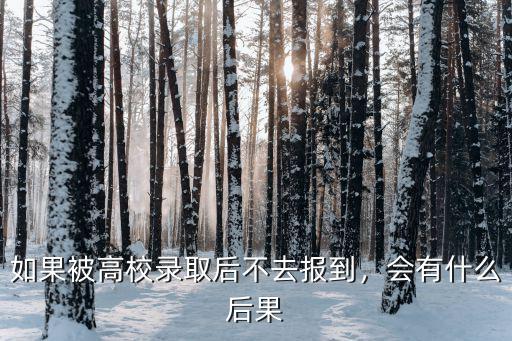 如果被高校錄取后不去報到，會有什么后果