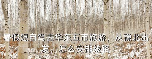 暑假想自駕去華東五市旅游，從豫北出發(fā)，怎么安排線路