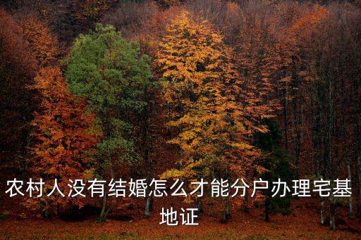 河南農村分戶怎么取得宅基地,現在農村分戶要求有宅基地