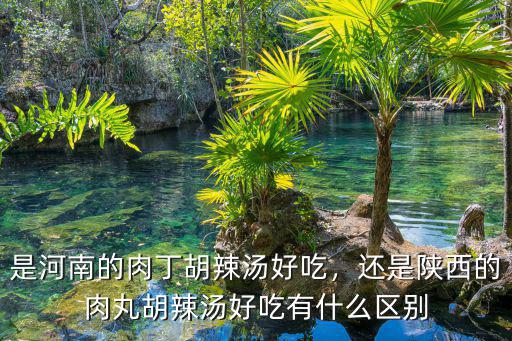 是河南的肉丁胡辣湯好吃，還是陜西的肉丸胡辣湯好吃有什么區(qū)別