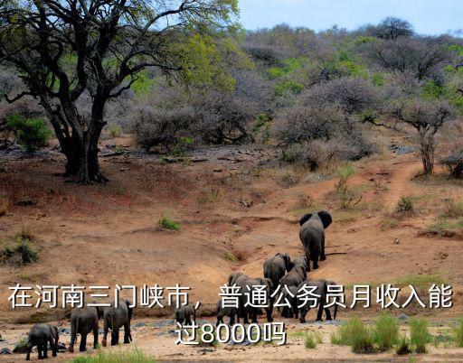 在河南三門峽市，普通公務員月收入能過8000嗎