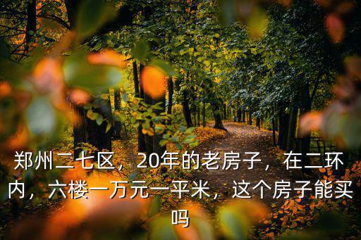 鄭州二七區，20年的老房子，在二環內，六樓一萬元一平米，這個房子能買嗎