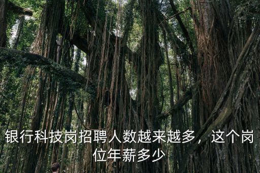 銀行科技崗招聘人數越來越多，這個崗位年薪多少