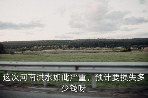 這次河南洪水如此嚴(yán)重，預(yù)計(jì)要損失多少錢呀