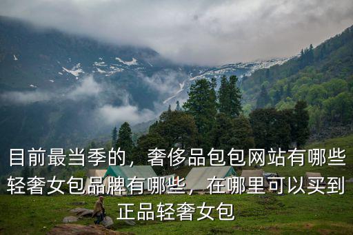目前最當季的，奢侈品包包網站有哪些輕奢女包品牌有哪些，在哪里可以買到正品輕奢女包