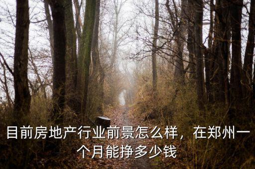 英博房地產鄭州怎么樣,目前房地產行業前景怎么樣
