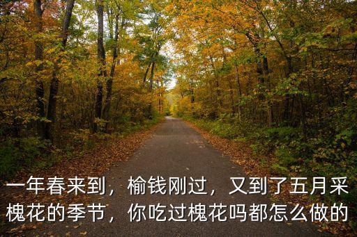 一年春來到，榆錢剛過，又到了五月采槐花的季節，你吃過槐花嗎都怎么做的