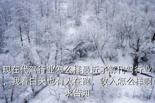 現在代駕行業怎么樣最近了解代駕行業，我看白天也有人在跑，收入怎么樣啊求告知